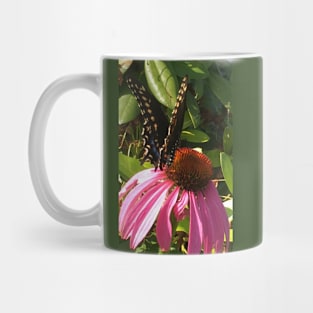 Buterfly 2: a different angle Mug